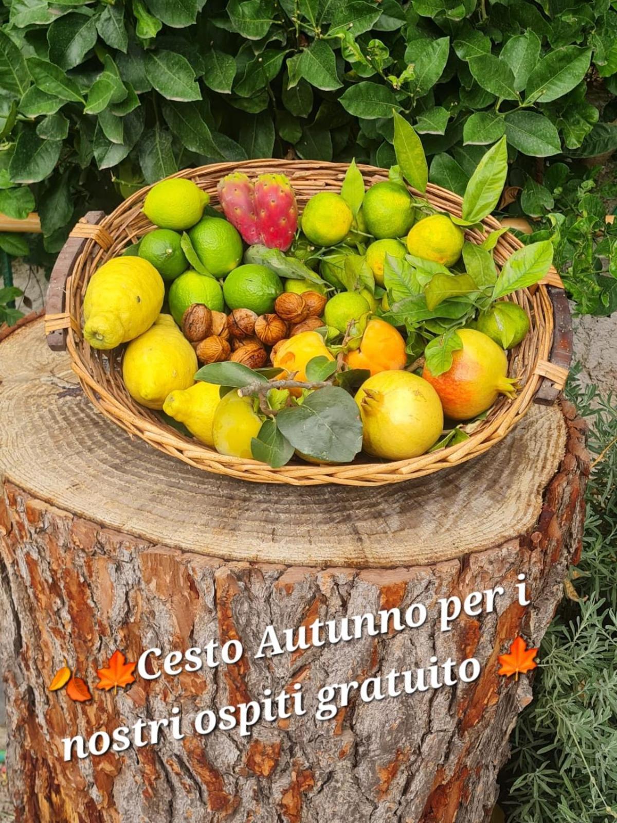 B&B Casa Vacanza Cioffi Vico Equense Εξωτερικό φωτογραφία
