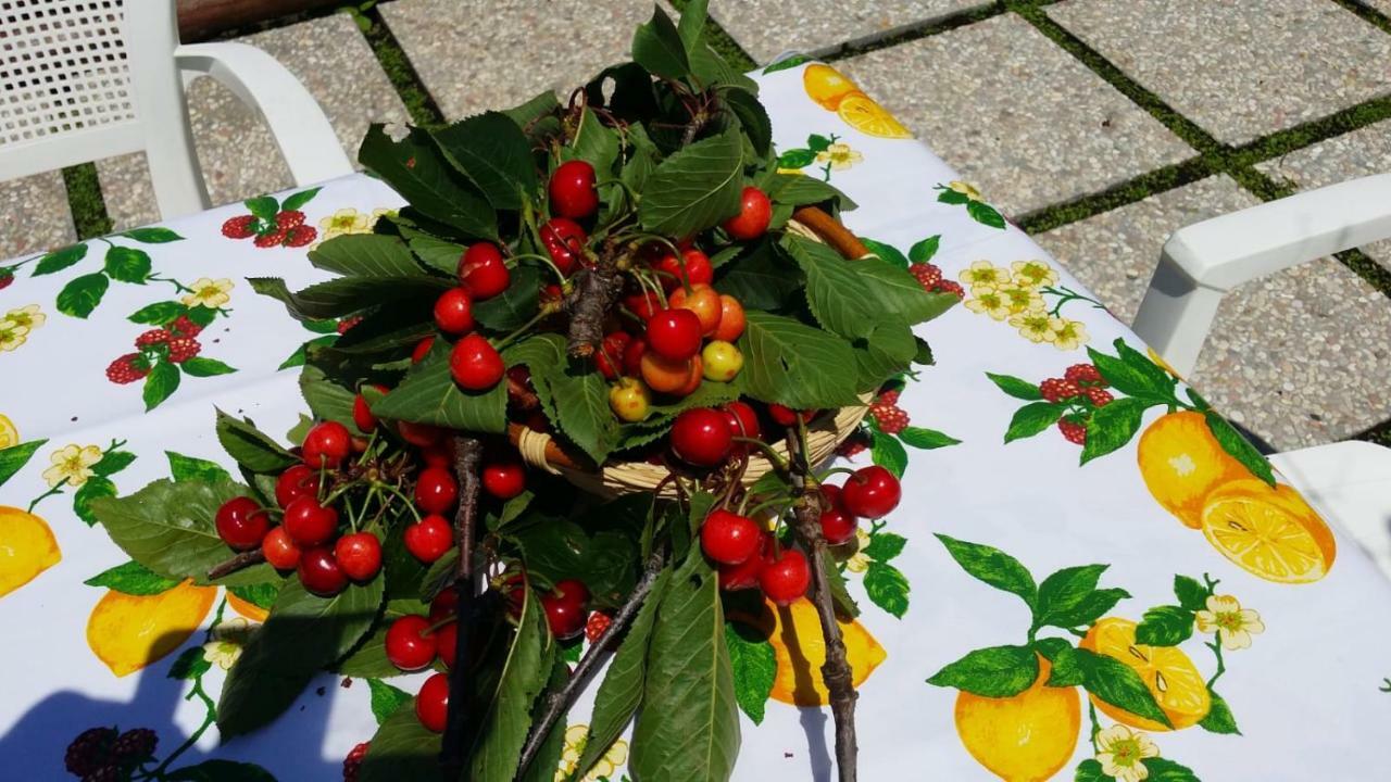 B&B Casa Vacanza Cioffi Vico Equense Εξωτερικό φωτογραφία