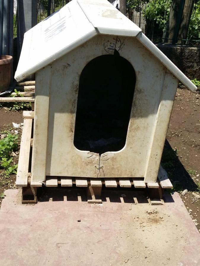 B&B Casa Vacanza Cioffi Vico Equense Εξωτερικό φωτογραφία
