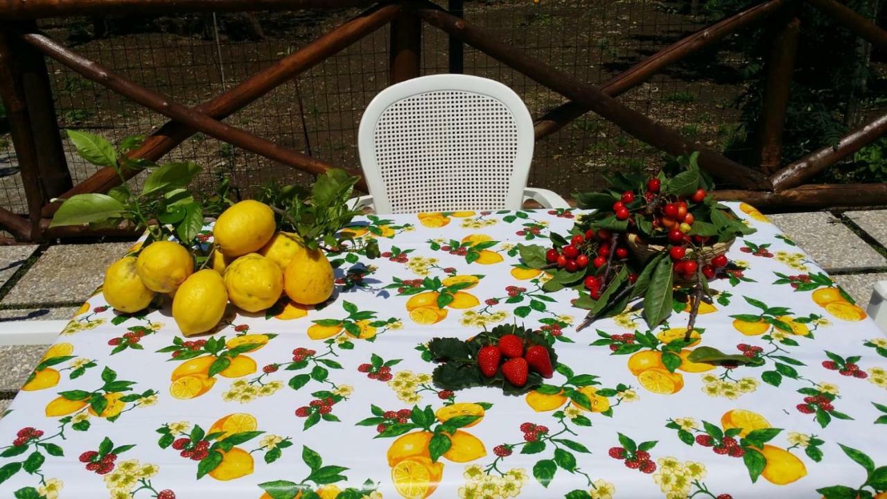 B&B Casa Vacanza Cioffi Vico Equense Εξωτερικό φωτογραφία