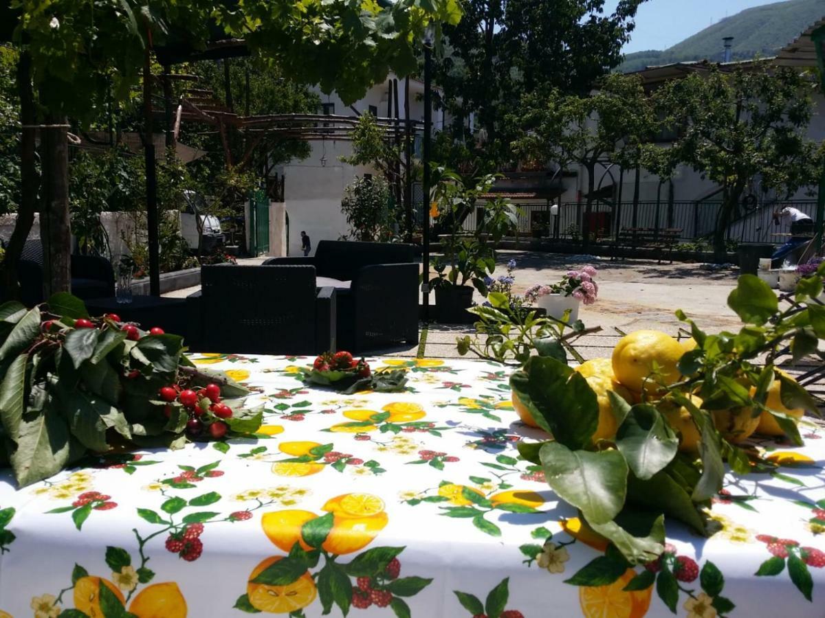 B&B Casa Vacanza Cioffi Vico Equense Εξωτερικό φωτογραφία