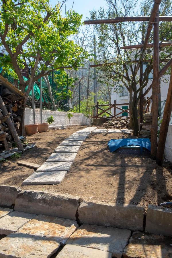 B&B Casa Vacanza Cioffi Vico Equense Εξωτερικό φωτογραφία