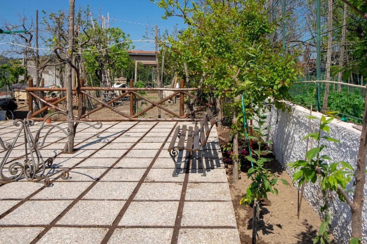 B&B Casa Vacanza Cioffi Vico Equense Εξωτερικό φωτογραφία